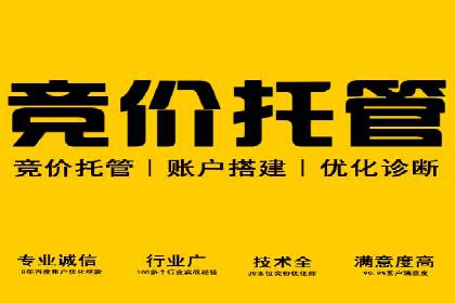 百度竞价推广公司案例揭秘：如何实现低成本高转化